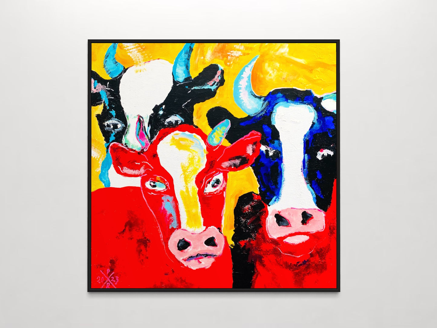 Cows 6