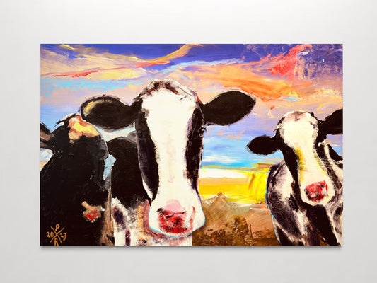Cows 5