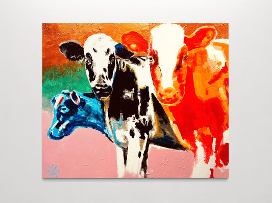 Cows 9